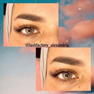 One of the top publications of @lashfactory_alexandria which has 12 likes and 2 comments