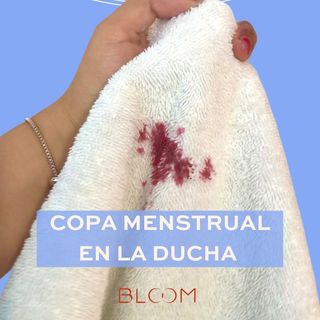 One of the top publications of @bloomcupcolombia which has 1.2K likes and 65 comments