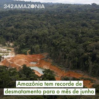 One of the top publications of @342amazonia which has 467 likes and 15 comments