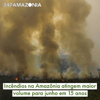 One of the top publications of @342amazonia which has 656 likes and 20 comments