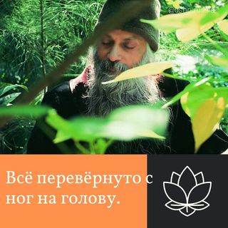 One of the top publications of @osho.russia which has 3.3K likes and 43 comments