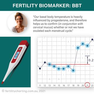 One of the top publications of @fertilitycharting which has 279 likes and 12 comments