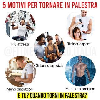 One of the top publications of @fitness.world.italia which has 683 likes and 55 comments