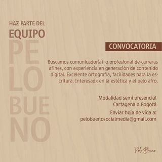 One of the top publications of @pelobueno.co which has 291 likes and 10 comments