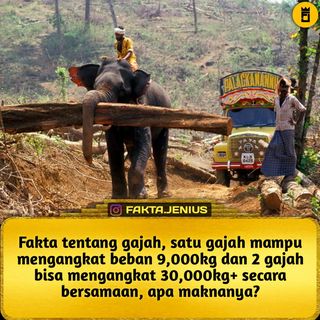 One of the top publications of @fakta.jenius which has 1.1K likes and 51 comments