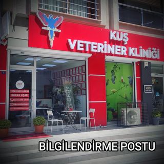 One of the top publications of @kusveterineri which has 653 likes and 83 comments