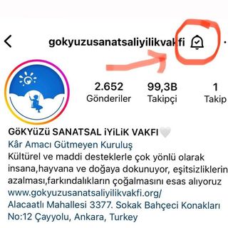 One of the top publications of @gokyuzusanatsaliyilikvakfi which has 300 likes and 2 comments