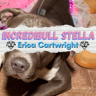 One of the top publications of @incredibullstella which has 377 likes and 44 comments
