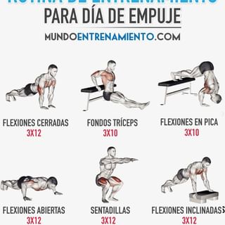 One of the top publications of @mundo_entrenamiento which has 2.9K likes and 60 comments