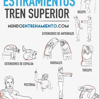 One of the top publications of @mundo_entrenamiento which has 5.3K likes and 46 comments