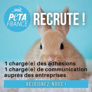 One of the top publications of @peta_france which has 430 likes and 6 comments