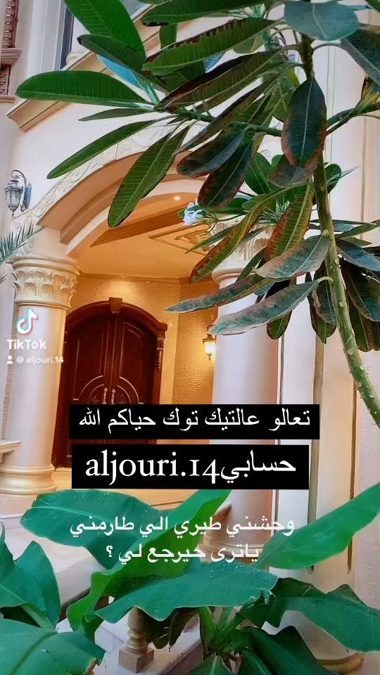 One of the top publications of @aljouri_.14 which has 326 likes and 51 comments