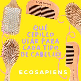 One of the top publications of @ecosapiens_col which has 47 likes and 0 comments