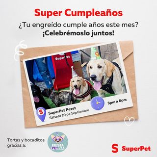 One of the top publications of @superpet_pe which has 82 likes and 4 comments