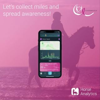 One of the top publications of @horseanalytics_app which has 54 likes and 2 comments