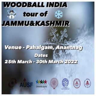 One of the top publications of @teamwoodballindia which has 194 likes and 13 comments