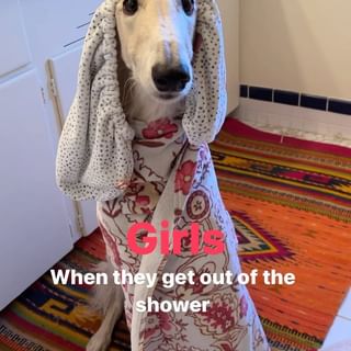 One of the top publications of @esperborzoi which has 142.6K likes and 750 comments