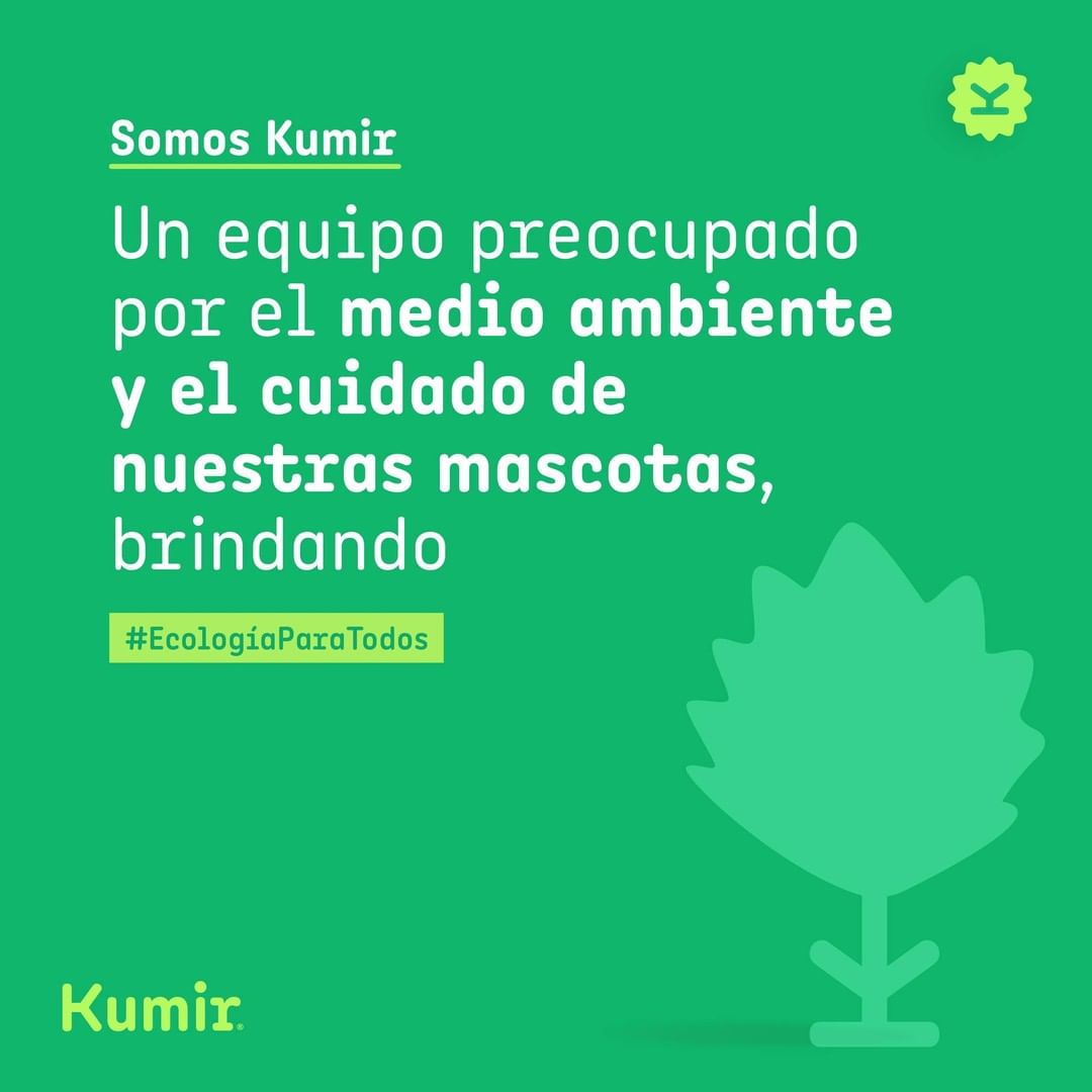 One of the top publications of @kumir.pe which has 37 likes and 3 comments