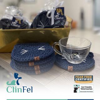 One of the top publications of @clinfelmedicinafelina which has 208 likes and 9 comments