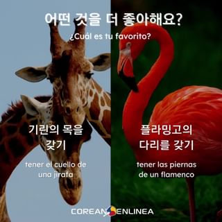 One of the top publications of @coreanoenlinea which has 391 likes and 4 comments