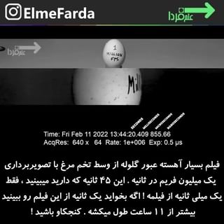 One of the top publications of @elmefarda which has 6.4K likes and 66 comments