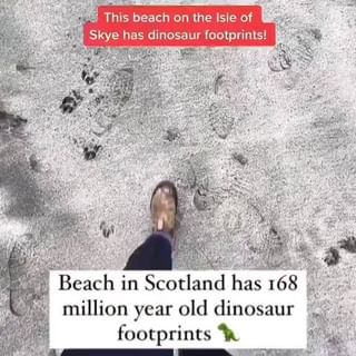 One of the top publications of @travel.in.scotland which has 1.9K likes and 24 comments