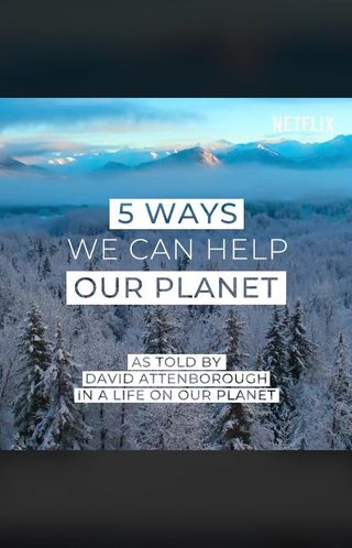 One of the top publications of @davidattenborough which has 195.4K likes and 1.3K comments
