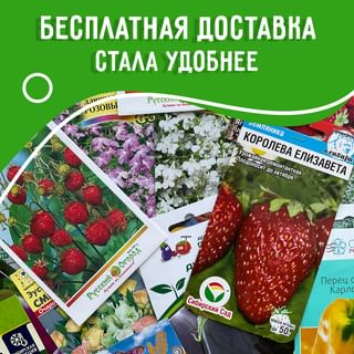 One of the top publications of @seedspost.ru which has 8 likes and 1 comments