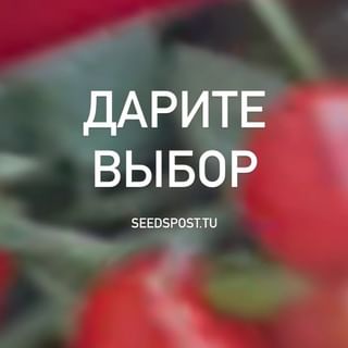 One of the top publications of @seedspost.ru which has 12 likes and 0 comments