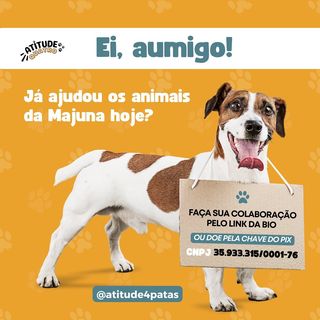 One of the top publications of @majunaprotecaoanimal which has 6 likes and 0 comments
