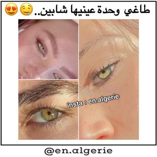 One of the top publications of @en.algerie which has 3.9K likes and 421 comments
