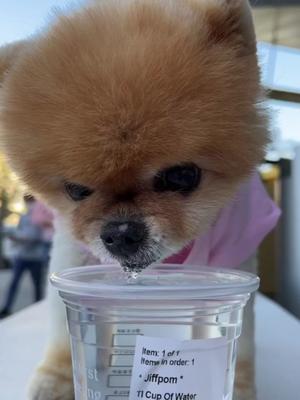 One of the top publications of @jiffpom which has 25.9K likes and 143 comments
