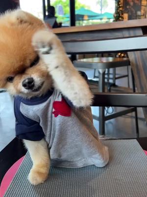 One of the top publications of @jiffpom which has 16.7K likes and 122 comments