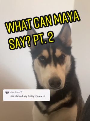 One of the top publications of @maya.husky which has 9.7M likes and 88.4K comments