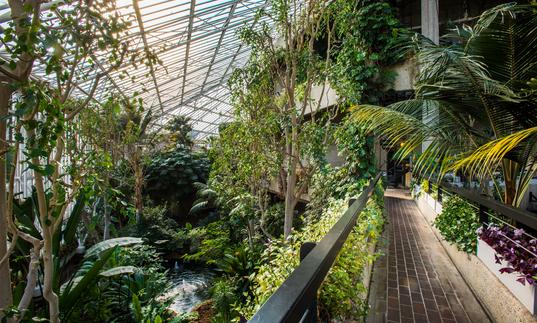 Glass-roofed, leafy sanctuary features tropical plants and trees, birdlife and exotic fish.