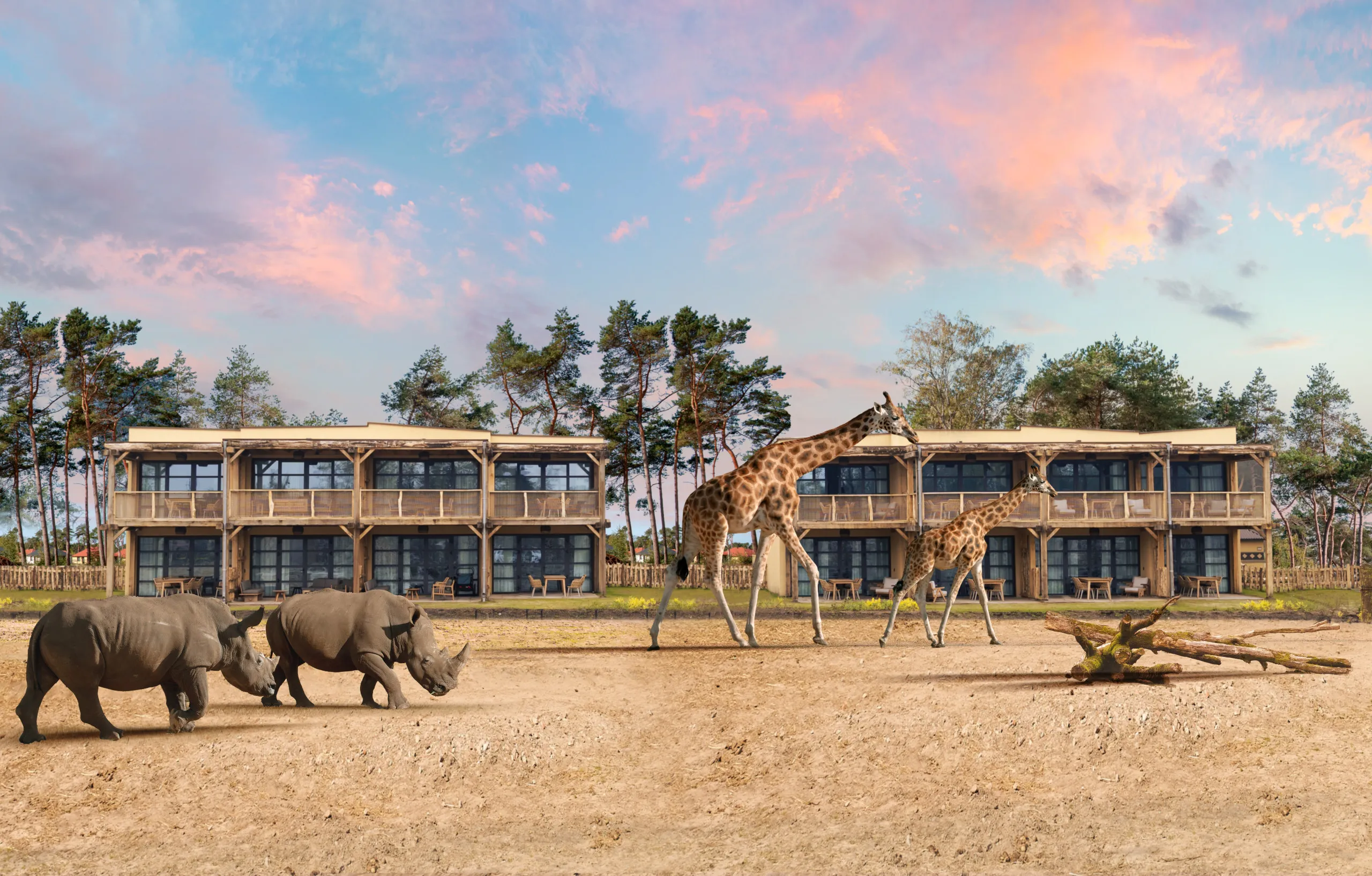 safari resort beekse bergen zoover