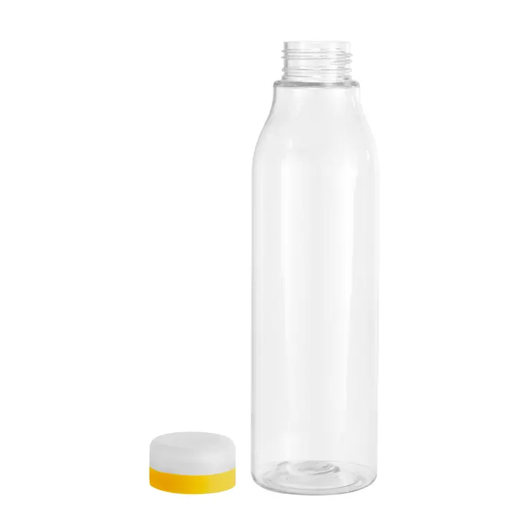 BOTELLA "ANDINA FROST"