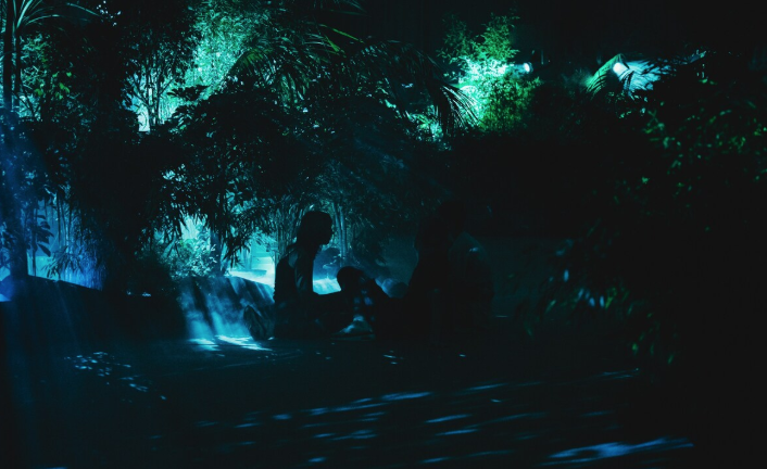 Installation Forêt Enchantée Imagina Festival