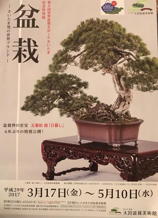 Omiya Bonsai Art Museum, Saitama (さいたま市大宮盆栽美術館) - メイン写真: