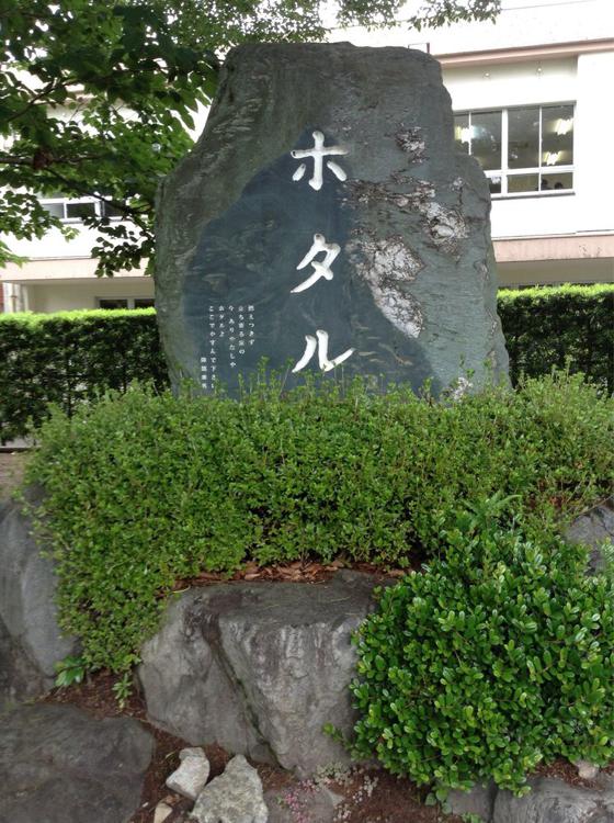 The 4 Best Museum in Minamikyushushi