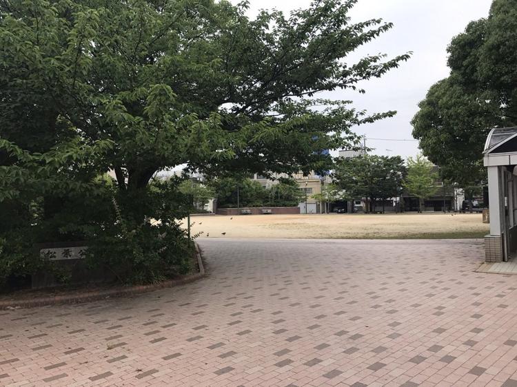 豊橋市役所　松葉公園地下駐車場 - メイン写真: