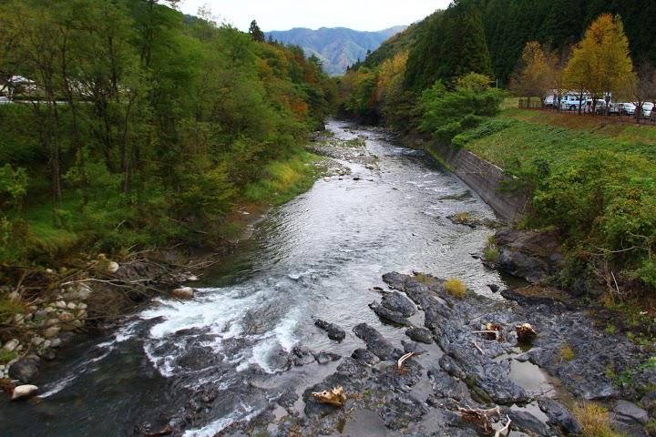 新里山村広場野球場 - メイン写真: