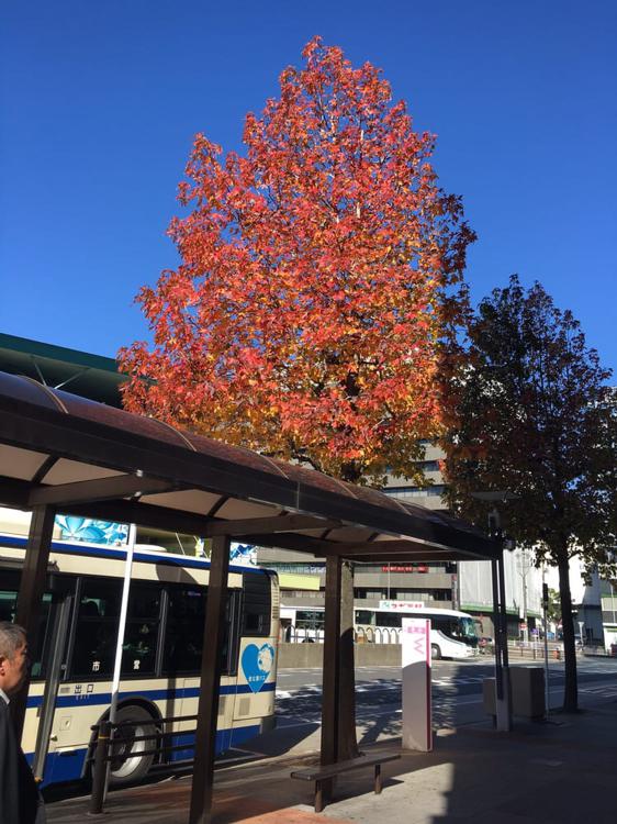 Meitetsu Kanayama Station (NH34) (名鉄 金山駅) - メイン写真: