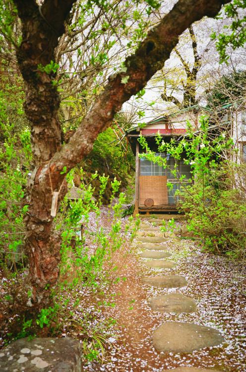 The 10 Best Park in Fukushimashi