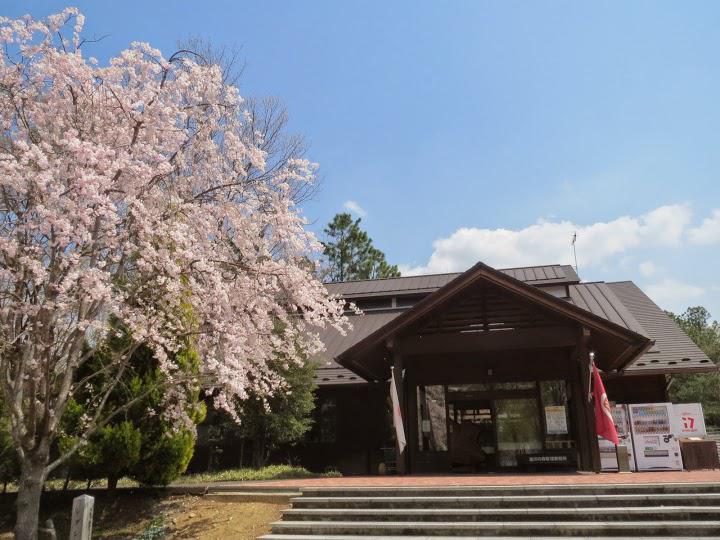 The 3 Best Park in Fuefukishi