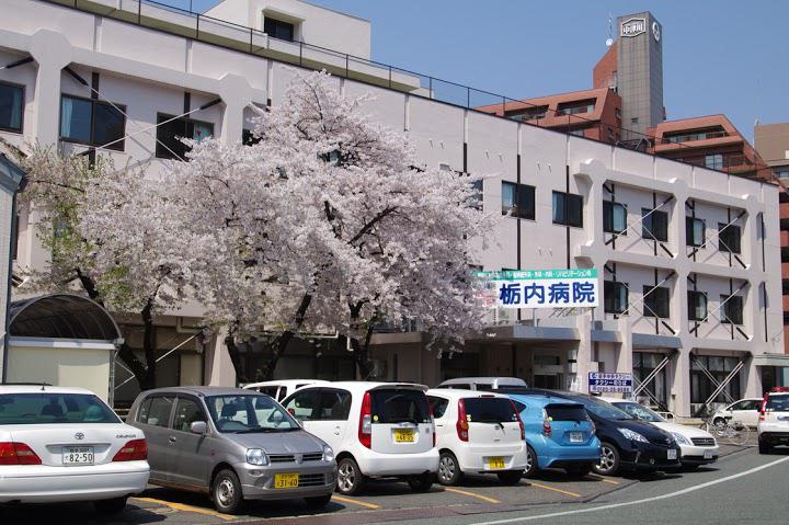 栃内病院 - メイン写真: