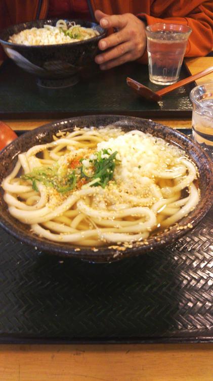 Hanamaru Udon (はなまるうどん 岐阜柳津店) - メイン写真: