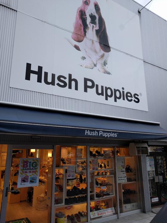 Hush Puppies - メイン写真:
