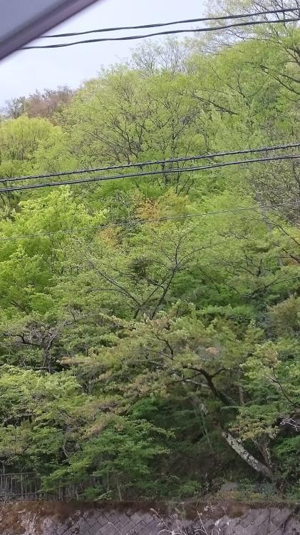 辰巳屋山荘 里の湯 - メイン写真: