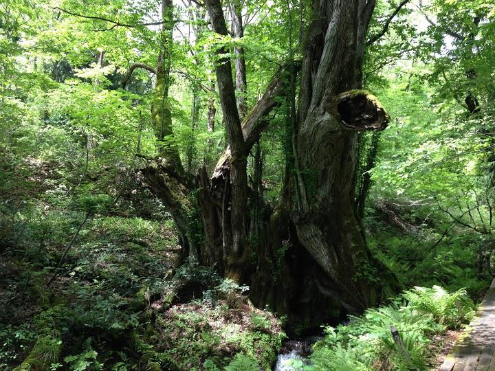 湊からだ回復センター - メイン写真: